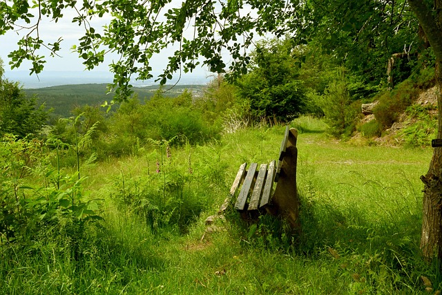 也让球迷们 也让球迷们