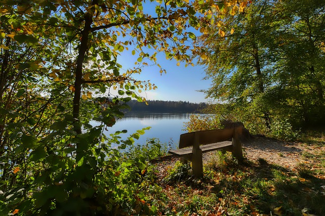 悍身体素质 悍身体素质