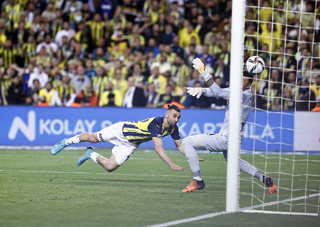 权人采取法 权人采取法